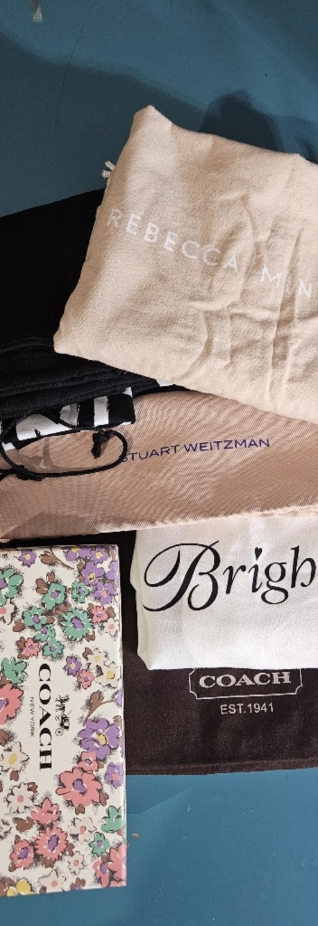 Designer Dust Bag Bundle Coach Rebecca Minkoff Brighton Stuart Weitzman Lot
